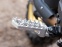 Installed-2960-9
