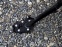 Installed-altrider-side-stand-enlarger-foot-for-the-bmw-r-1200-gs-water-cooled-4